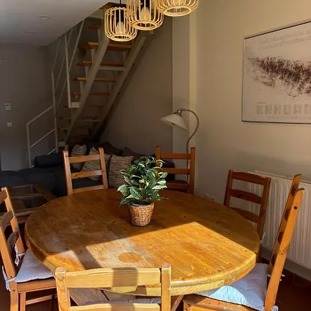 Duplex Con Jardin En Pirineos, Totalmente Equipado Apartment Villanua